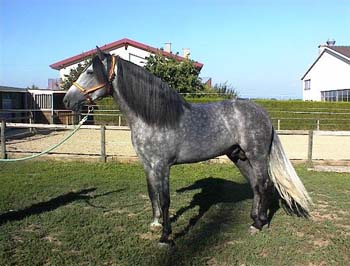 DSC00043